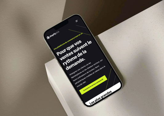 Comment générer des revenus stables sur Shopify ? - Tamara Agency