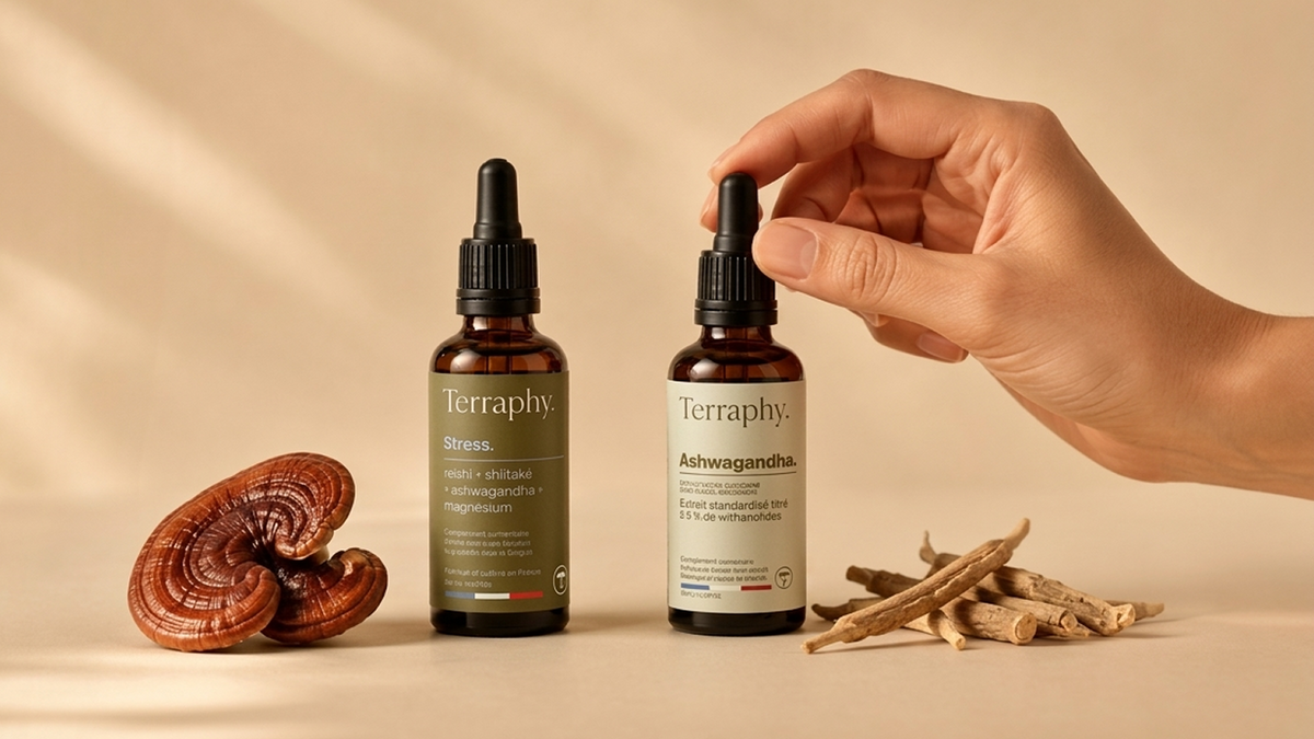 Deux flacons compte-gouttes Terraphy, Stress et Ashwagandha, entourés d'un champignon reishi et de racines, une main saisit l'un d'eux